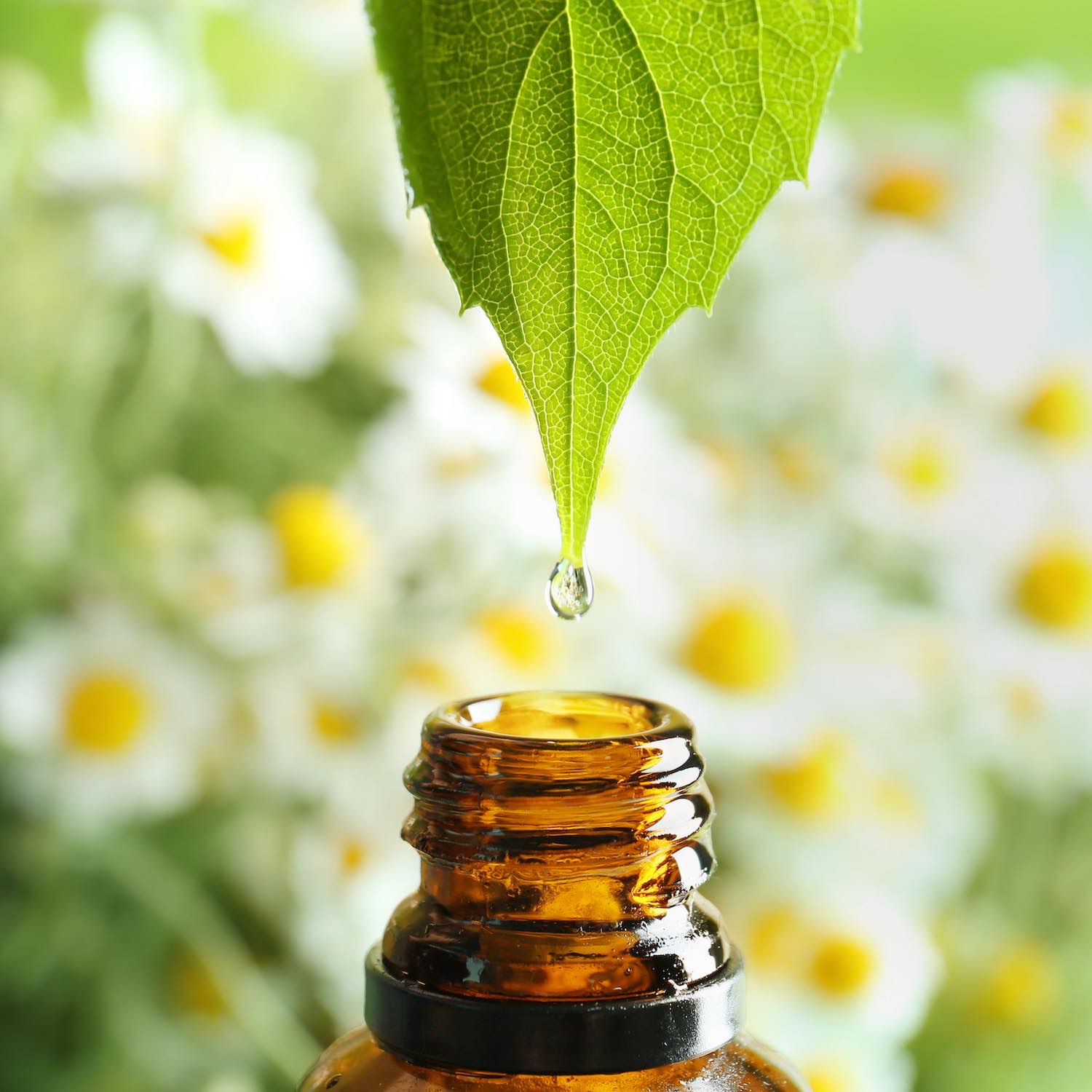 Aromathérapie Pharmacie du Quartier Brune